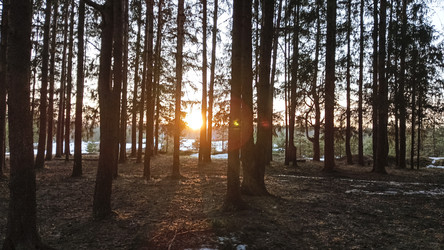 Similar image 22582220