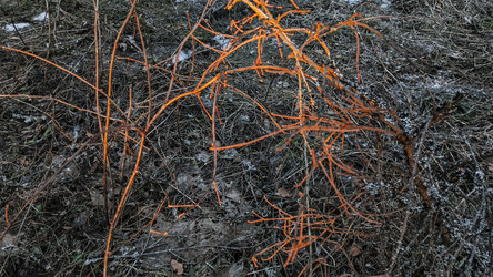 Similar image 22582221