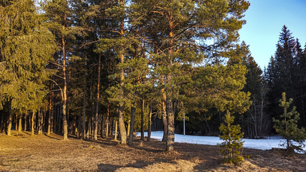 Similar image 22582222