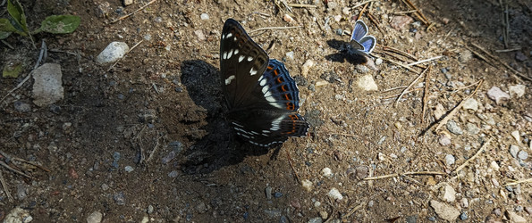 Similar image 22582223