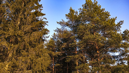 Similar image 22582224