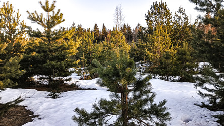 Similar image 22582225