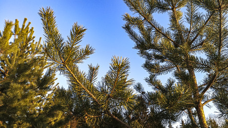 Similar image 22582226