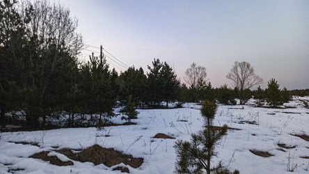 Similar image 22582229