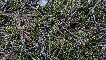 Similar image 22582231