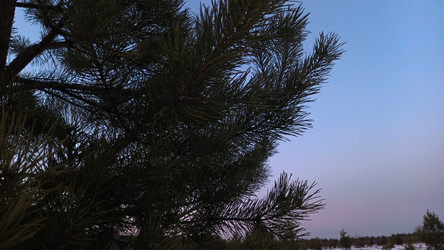 Similar image 22582232