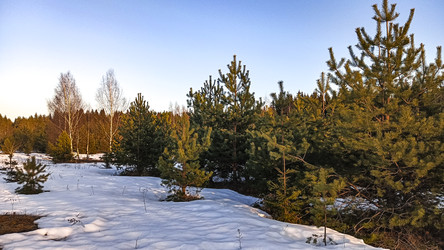 Similar image 22582233