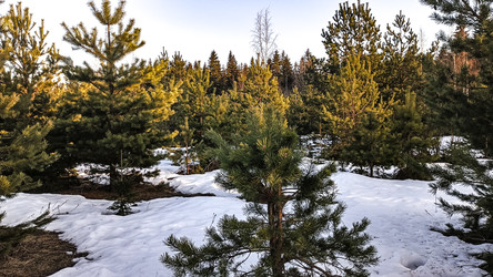 Similar image 22582234