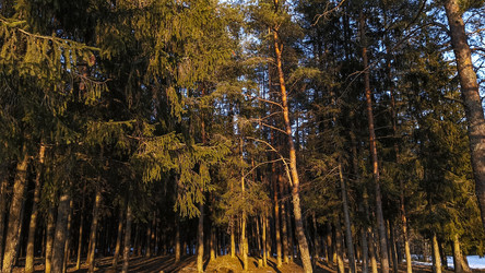 Similar image 22582235