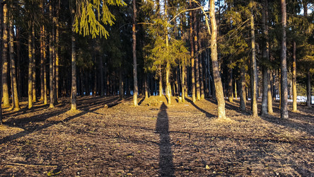 Similar image 22582236