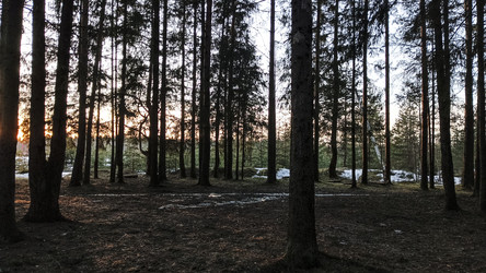 Similar image 22582237