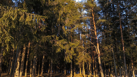 Similar image 22582238