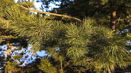 Similar image 22582240