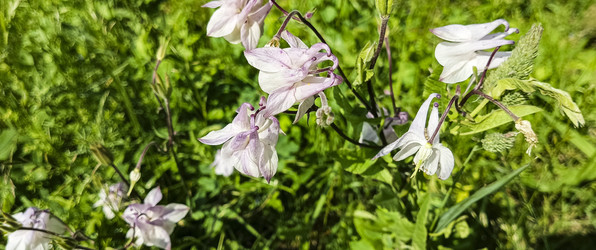 Similar image 22582243