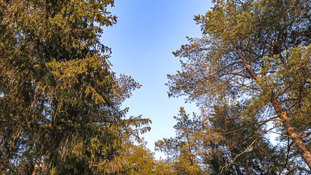 Similar image 22582244