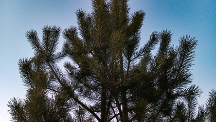 Similar image 22582245