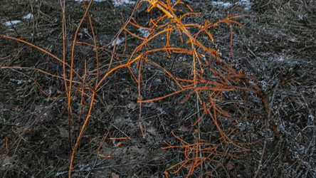 Similar image 22582247