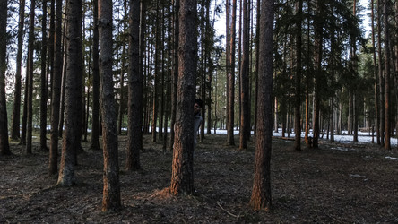 Similar image 22582248