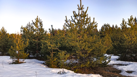 Similar image 22582249