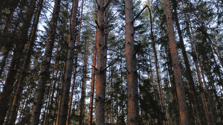 Similar image 22582250