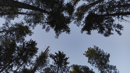 Similar image 22582251