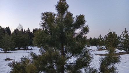 Similar image 22582252