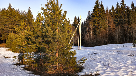 Similar image 22582253