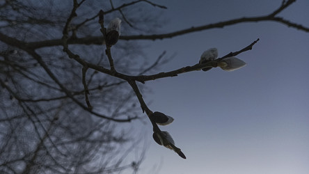 Similar image 22582256