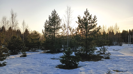 Similar image 22582257