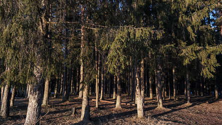 Similar image 22582258