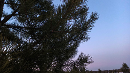 Similar image 22582259