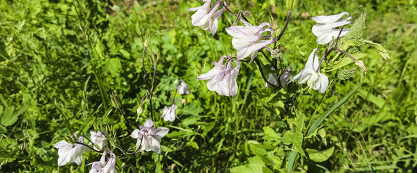 Similar image 22582260