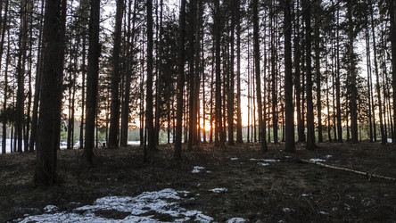 Similar image 22582261