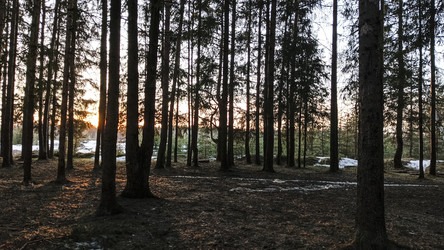 Similar image 22582262