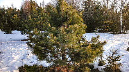 Similar image 22582263