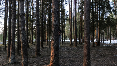 Similar image 22582264