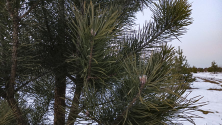 Similar image 22582265