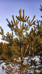 Similar image 22582266