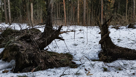 Similar image 22582267