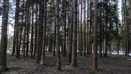 Similar image 22582268