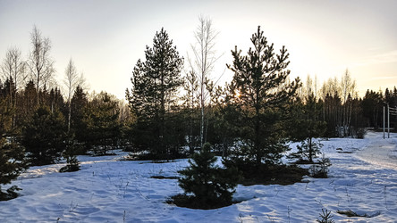 Similar image 22582269