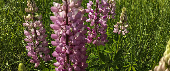 Similar image 22582270