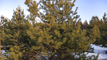 Similar image 22582271