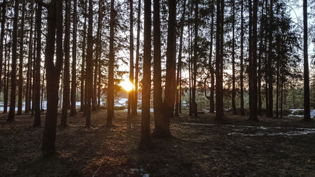 Similar image 22582272