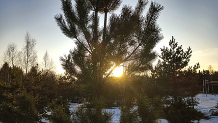 Similar image 22582273