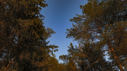 Similar image 22582274