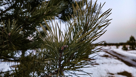 Similar image 22582275