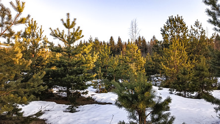 Similar image 22582276