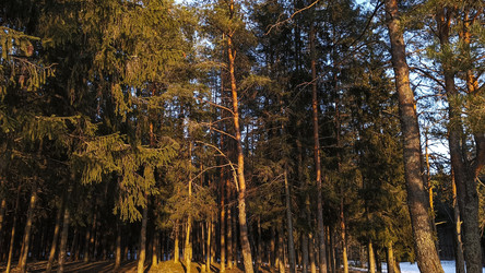 Similar image 22582277