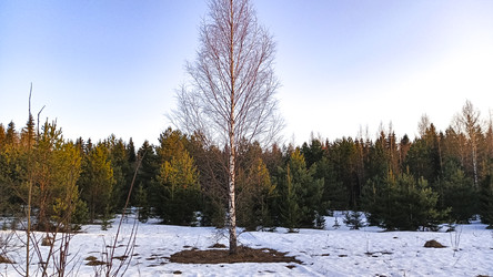 Similar image 22582278